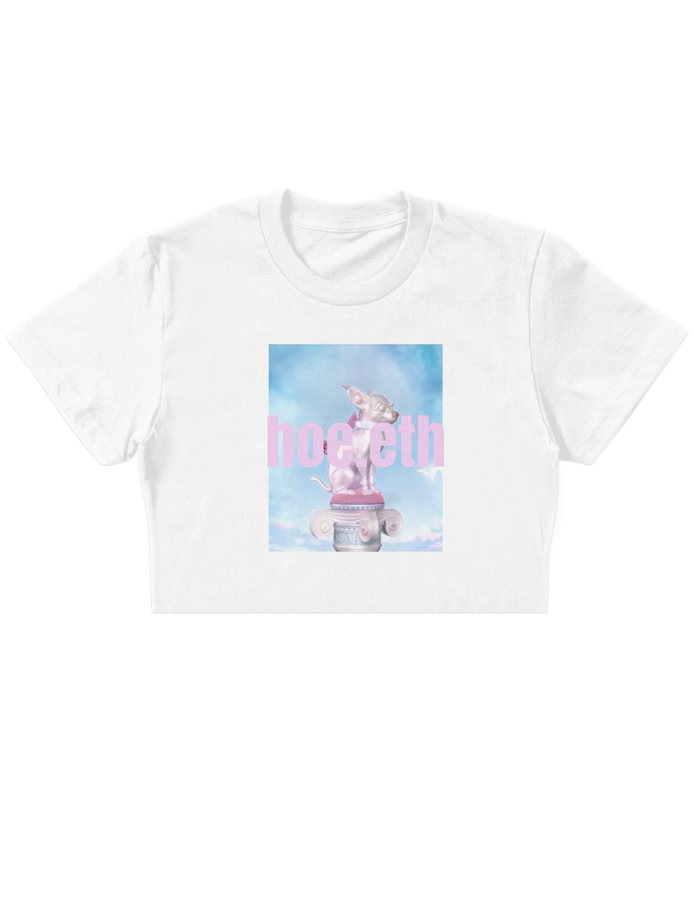 ASKHOES Podcast Crop Top 2951727