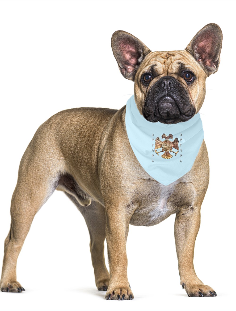 BÜRKÜT Pet Bandana 5990822
