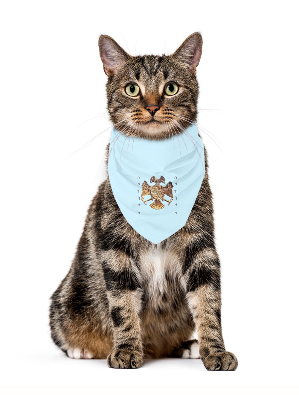 BÜRKÜT Pet Bandana 5990822