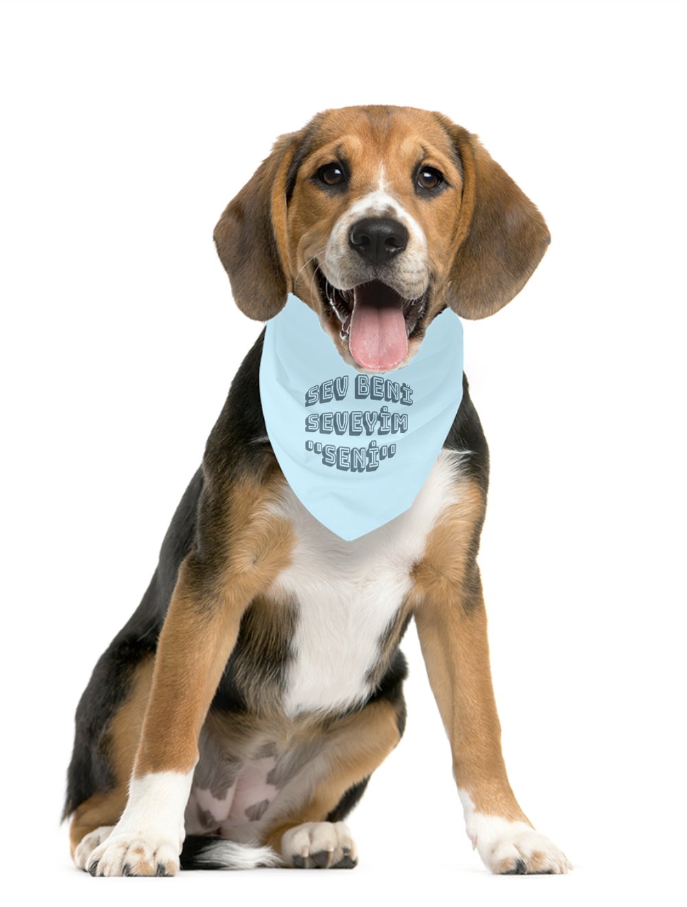 MonaSeraaShop Pet Bandana 4431857