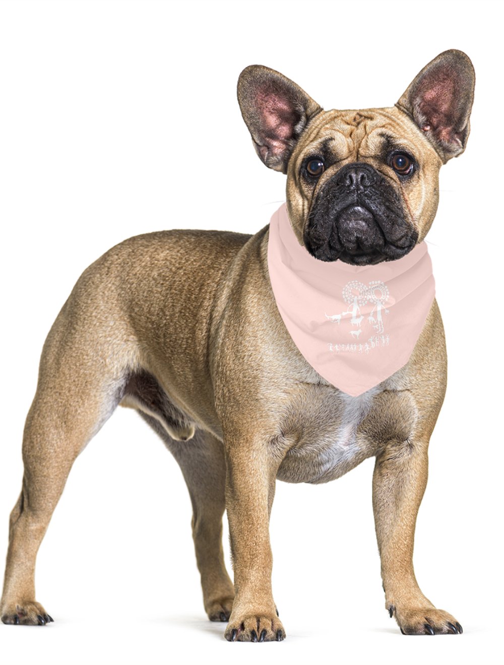 KÜN AY Pet Bandana 9541603