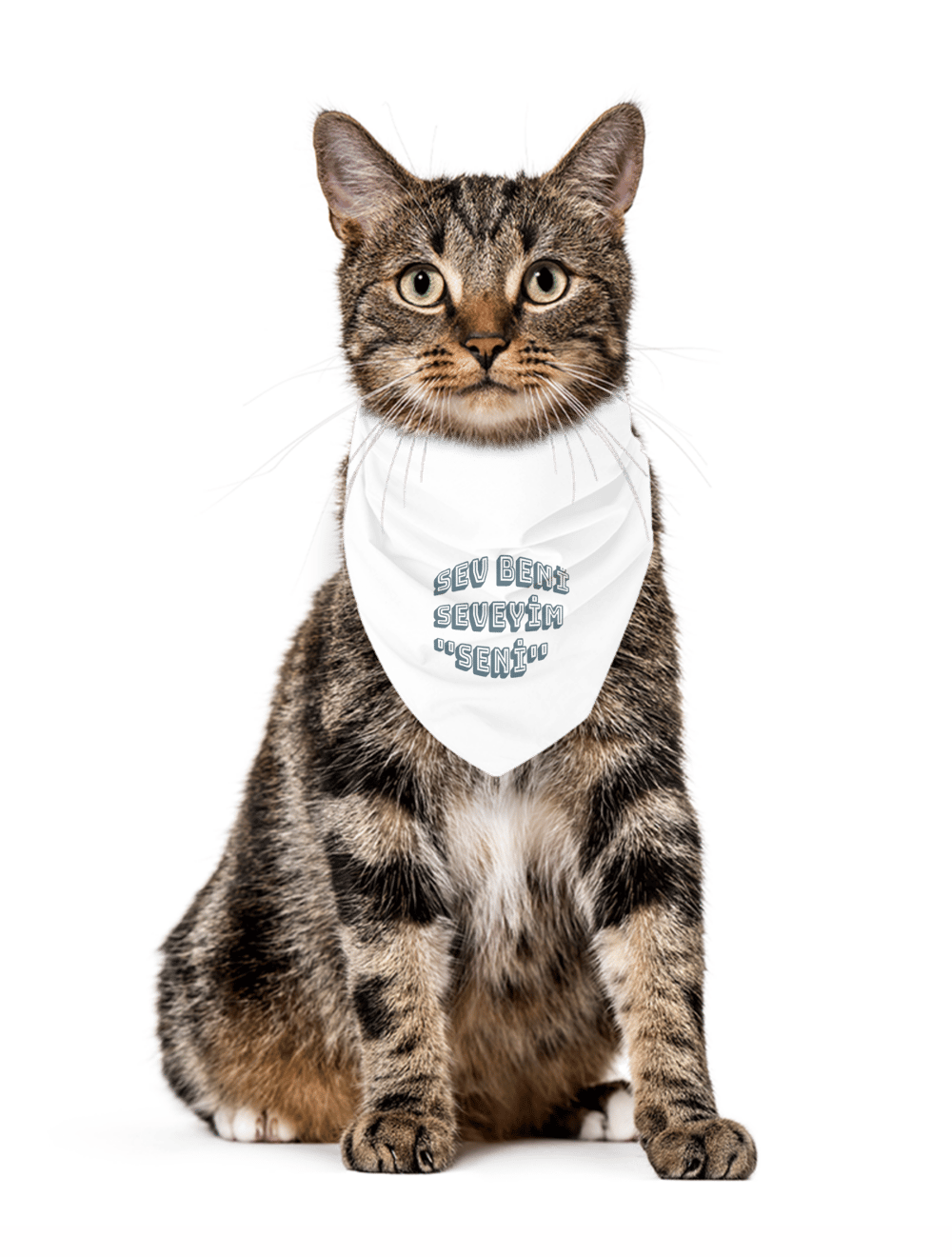 MonaSeraaShop Pet Bandana 4431857