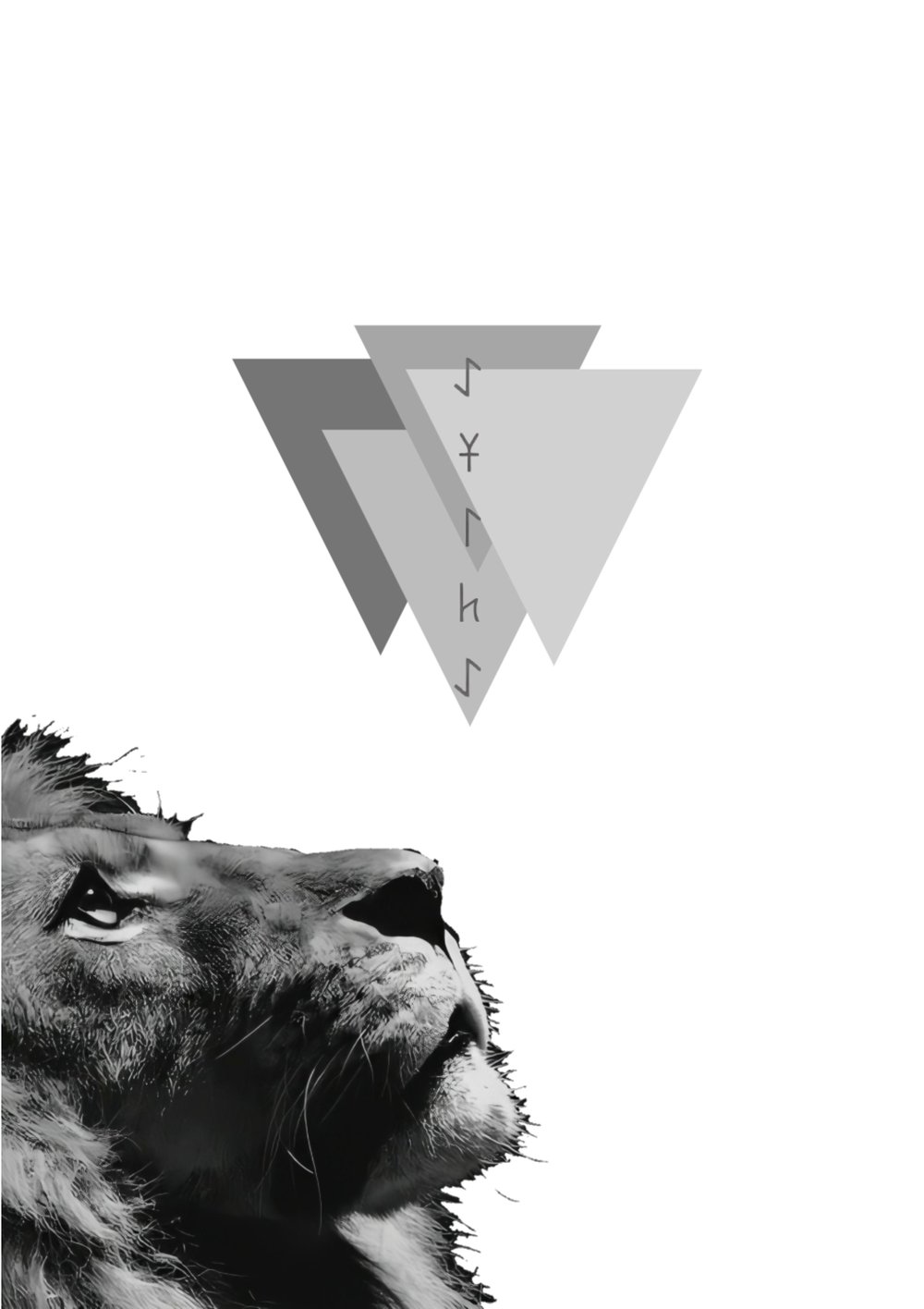 SİR BUDUN & AŞİTE Siyah